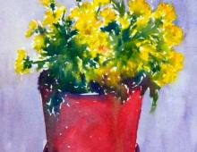 Рисуем желтые хризантемы акварелью