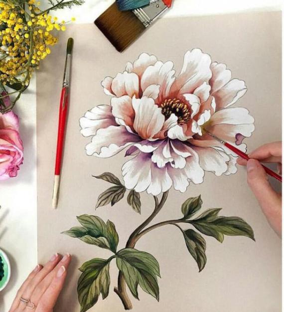 Как рисовать цветы пионы