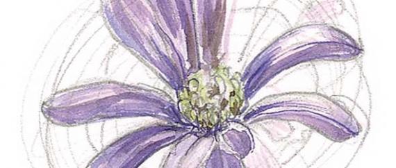 Как рисовать цветы акварелью